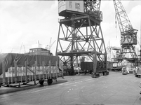 804412 Afbeelding van goederenwagens en havenkranen op een kade van de haven te Rotterdam.
